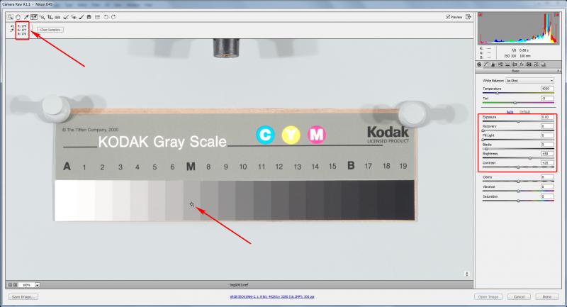  Kodak Q13, ACR, process 2010, default settings