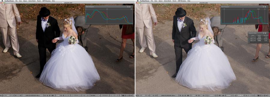 FastRawViewer. Small village wedding. Shadow Boost