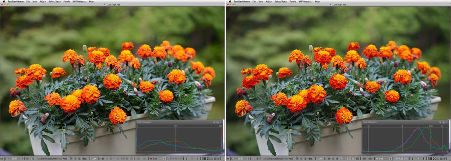 FastRawViewer. Marigold. False clipping in highlights