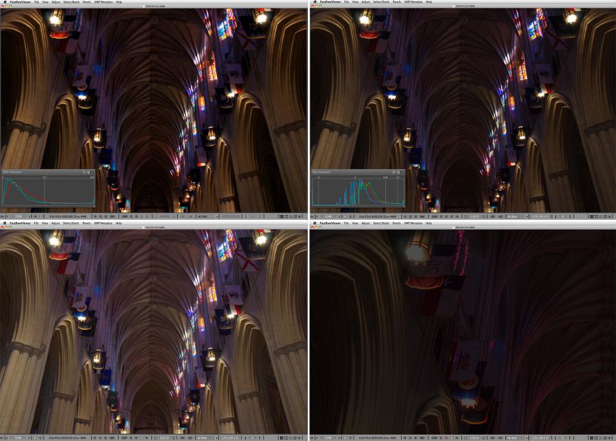 FastRawViewer. Inside of the National Cathedral. Shadow Boost and Focus Peaking