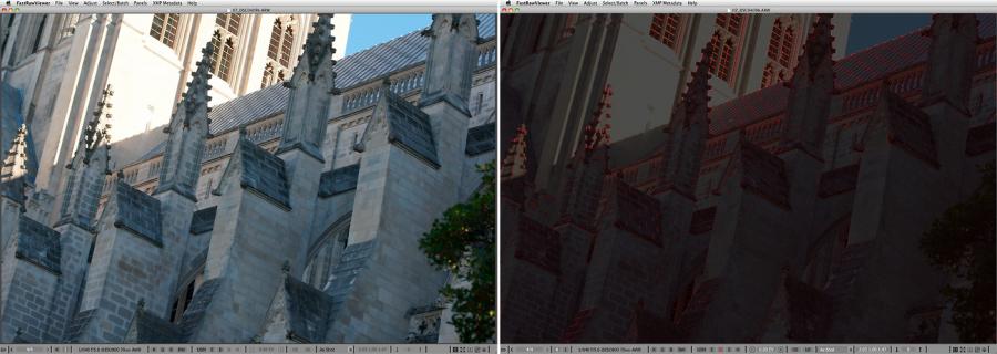 FastRawViewer. Walls of the National Cathedral. Focus Peaking