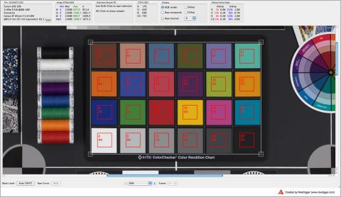 RawDigger. Placing a Grid