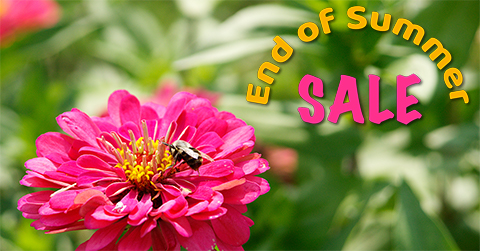 LibRaw products. End of Summer Sale. 25% off