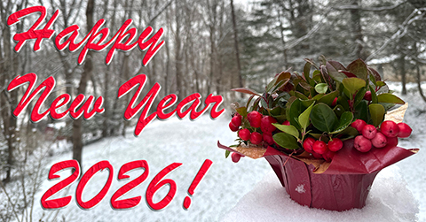 LibRaw. Holiday Season Sale. 25% off