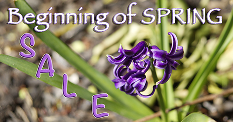 LibRaw Beginning of Spring Sale