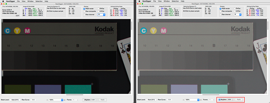 RawDigger 1.3. Brighten for simplification of samples' placement