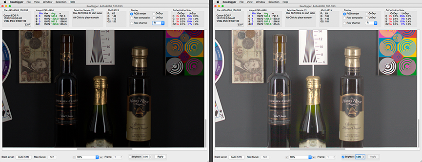 RawDigger 1.3. Original vs Automatic Exposure Correction and Brighten applied