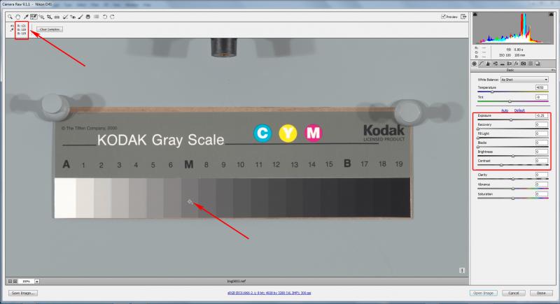  Kodak Q13, ACR, process 2010, default settings zeroed out, Baseline exposure subtracted