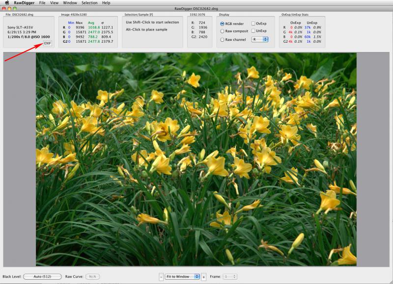 RawDigger EXIF Button
