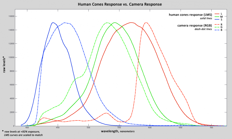 Human response (LMS) vs. camera response (RGB)
