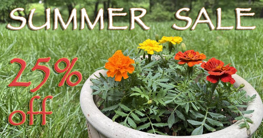 LibRaw Summer Sale 25% off