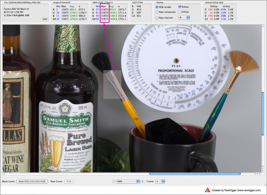 RawDigger. Canon 5D Mark IV Shot. Main Frame. Sampled Highlights.