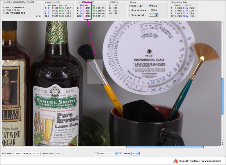 RawDigger. Canon 5D Mark IV Shot. Auxiliary Frame. Sampled Highlights.