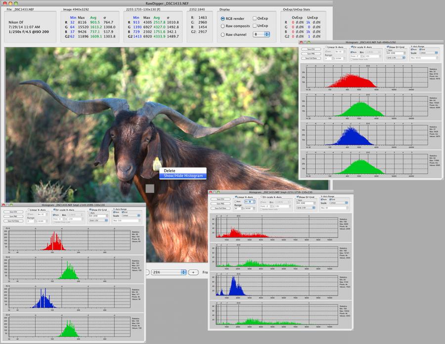 RawDigger Histogram for Samples Areas