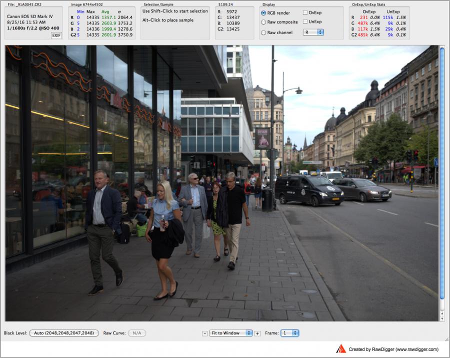 RawDigger. Canon 5D Mark IV Dual Pixel mode. Main Frame