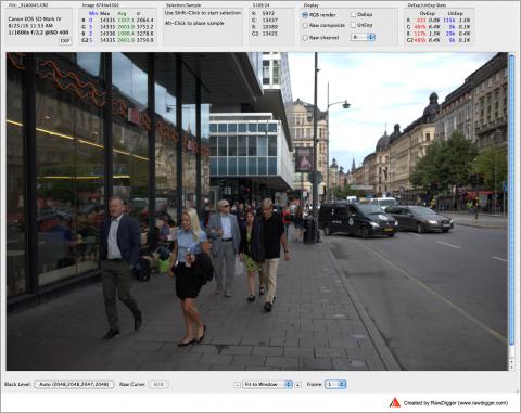 RawDigger. Canon 5D Mark IV Dual Pixel mode. Main Frame