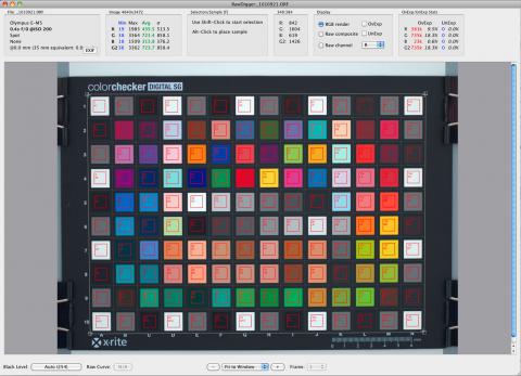 RawDigger Target with Grid Placed